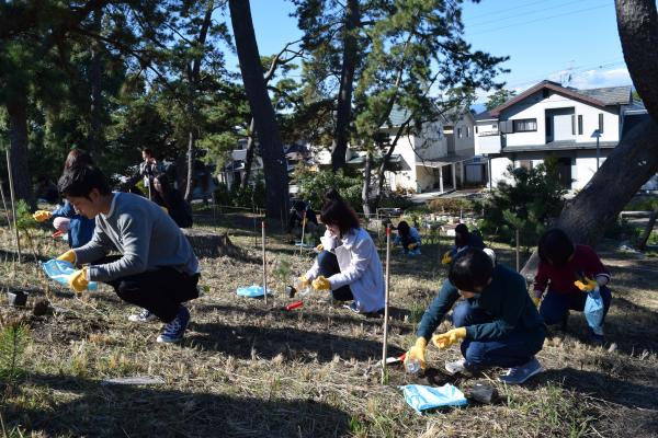 H28.11.12　植林３.JPG