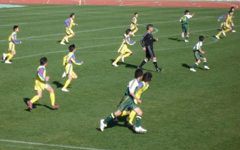写真：清水銀行杯フレンドリーシティ少年少女サッカー大会