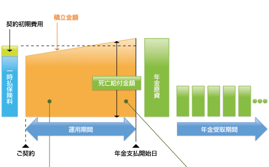 定額年金保険一時払のケースのイメージ図