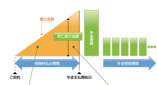 定額年金保険月払等（積立型）のケースのイメージ図