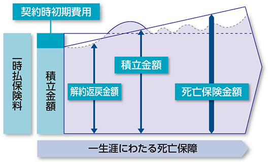 一時払終身保険（解約返戻金変動型）のイメージ図