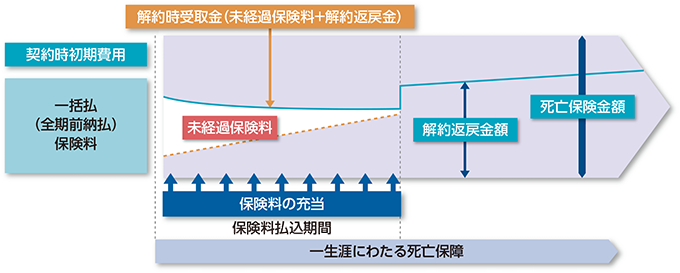 全期前納払終身保険のイメージ図