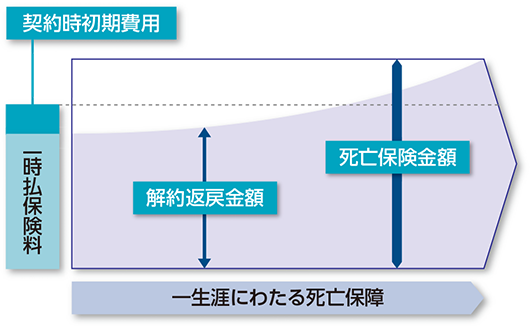 一時払終身保険（定額型）のイメージ図